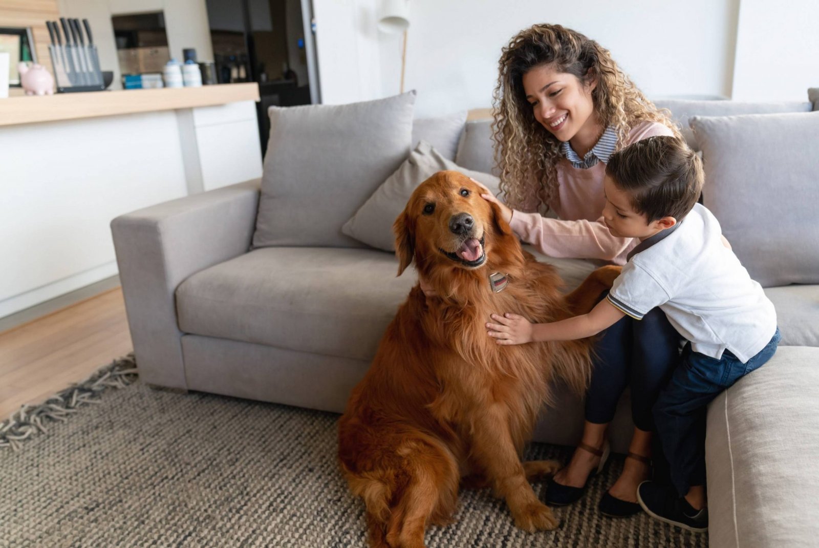 Animais em apartamentos